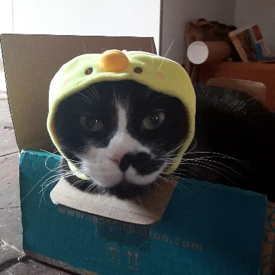 LeonardSerrano6's profile picture. 