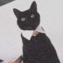 bersinさんのプロフィール画像