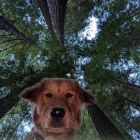 Solaresoul ☀️ (@solaresoul) 's Twitter Profile