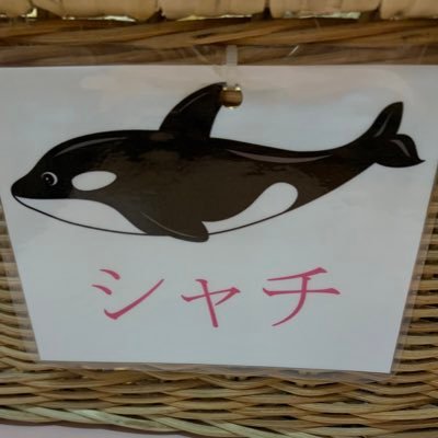 R4.1〜3LDKで同居生活開始。 夫、義母、子供はまだ。 只今、専業主婦。 かまってちゃん義母の行動にイライラ。ここで発散垢。 無言フォロー失礼いたします。