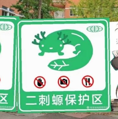 HhylHhyl16's profile picture. 一个路过的打胶客，扫楼四级调研员