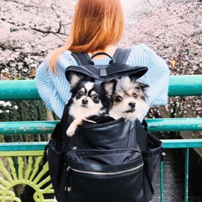 りっぴー☺︎🐰🎀 2𝕪+6𝕞👶🏻さんのプロフィール画像