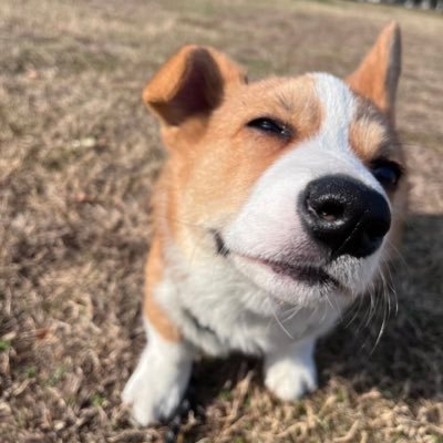 SissiIndiana's profile picture. 