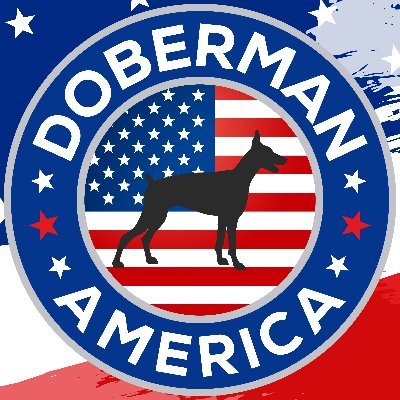 @dobermanamerica