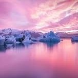 pari75112288's profile picture. 