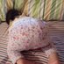@xZ_katsumaki