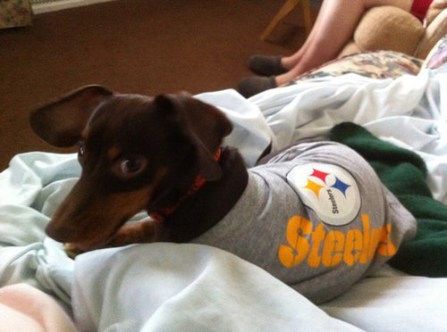 militarymum's profile picture. Freedom is not free and we need to be thankful for our men and women who have paved the way for us.