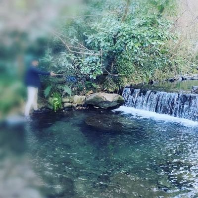 One_Pan_Men_'s profile picture. Apex用のアカウントです🎮
配信用とプライベート用の2垢使ってプレイしてます！！！
皆さん仲良くして下さい🙇