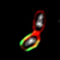 Department of Immunobiology at UNIL (@dib_unil) 's Twitter Profile Photo Department of Immunobiology at UNIL (@dib_unil) 's Twitter Profile Photo