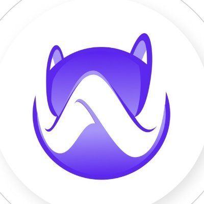 amir_wallet Profile Picture