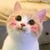 EH_OVO_ช佩😍 (@chomchomglad2cu) Twitter profile photo EH_OVO_ช佩😍 (@chomchomglad2cu) Twitter profile photo