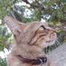 Gary&Ivy (@ipd1rv8rowhxhjc) Twitter profile photo Gary&Ivy (@ipd1rv8rowhxhjc) Twitter profile photo