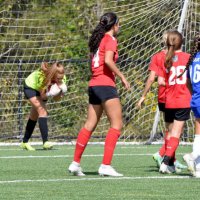 Avery Maltese (@averymaltese14) 's Twitter Profile