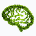 MRC CBU Green News (@eco_mrccbu) Twitter profile photo MRC CBU Green News (@eco_mrccbu) Twitter profile photo