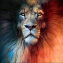 Brian Jenkins - @Blazingmofo420 - Twitter