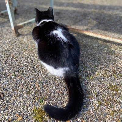 miyuki46497240's profile picture. ツイッター久しぶりに再開しました(^^)