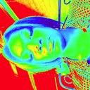 Tamara Starkey - @tamarastarkey - Twitter