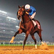 SahadanGanyan.com 🛡️ At Yarışı Tahmin (@sahadanganyan) Twitter profile photo