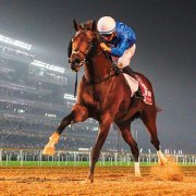 🐴 Günlük At Yarışı Yorumcusu
🐴 https://t.co/1uKIN61SmV
☎ 0532 293 22 92
