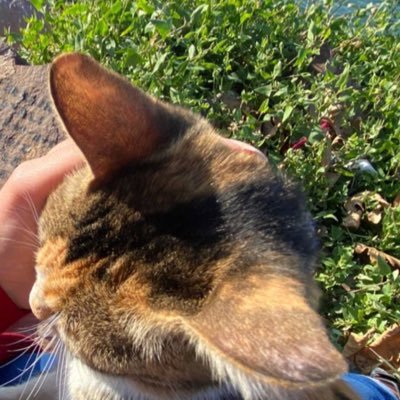 hasos548619272's profile picture. 