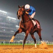 35bariyerdibi35's profile picture. 🐴 Günlük At Yarışı Yorumcusu
🐴 https://t.co/mD9O0aYKgc
☎ 0532 293 22 92