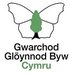 Butterfly Conservation Wales (@WalesBc) Twitter profile photo