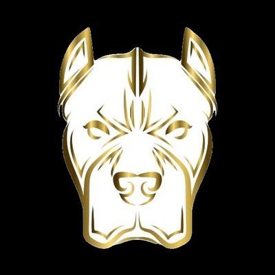 Josephi42506981's profile picture. 