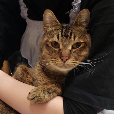 to_sanpo's profile picture. 