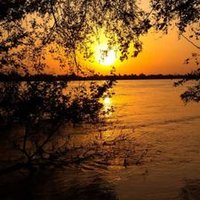 Rashad saty (@123rashed456) 's Twitter Profile