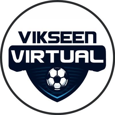 Vikseen_virtual Profile Picture