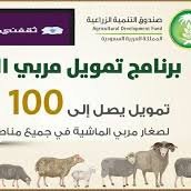برنامج انعام الحكومي لدعم صغار مربي الماشية 
للتسجيل تواصل دايركت بالخاص