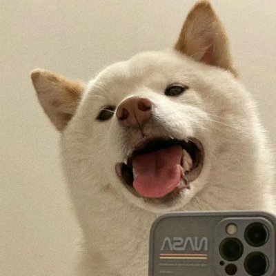 Cork32865725's profile picture. AI & Web3 | Creator & Contributor | Product & Coder | Nobody can define me