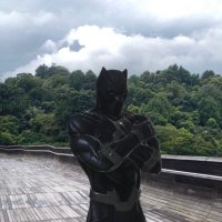 Chief Panther of the Mighty Metaverse(@darryltjk) 's Twitter Profile Photo