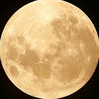 달さんのプロフィール画像