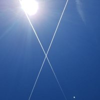 Kevin Cash (@kevinca75326513) 's Twitter Profile