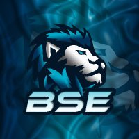 BS Esport Team(@BSTeamOfficiel) 's Twitter Profile Photo