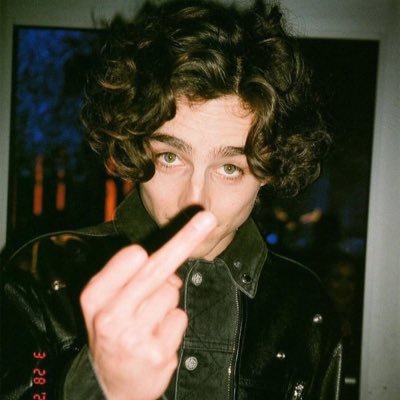 i have the same personality type as timothée chalamet (nothing more need be said)