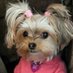Tammy Carlisle (@tammyca40141848) Twitter profile photo Tammy Carlisle (@tammyca40141848) Twitter profile photo