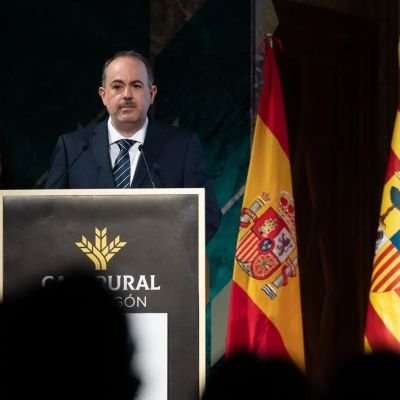 Ingeniero Informático || Doctorando @La_UPM || Decano @cpgiiaragon || Diputado 2011-19 @cortes_aragon