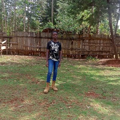 Desmondbett7's profile picture. 