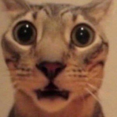 Bren_Dan21's profile picture. 
