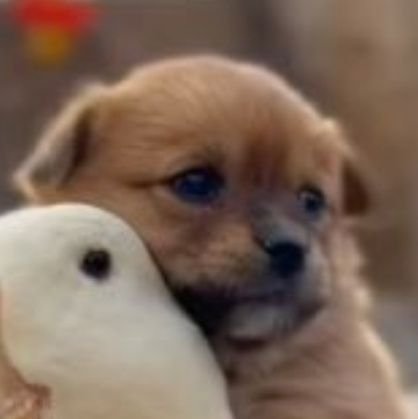 Q5nsunpTfmuTHJj's profile picture. 為替やってます

#Xenea

#XENE

#XENEAWallet