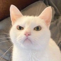 philomath213 (@philomath213) 's Twitter Profile Photo philomath213 (@philomath213) 's Twitter Profile Photo
