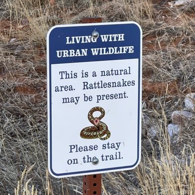 rockstarman86's profile picture. Im the every day kind of guy!!