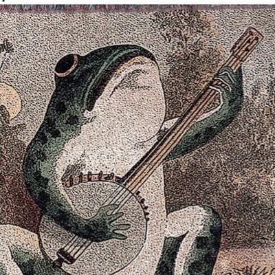 jbraphaelFL's profile picture. -Occasional nature guy