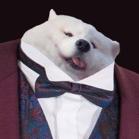 Gow (@mygowd) 's Twitter Profile
