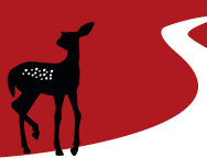 fawncreekwinery's profile picture. Fawn Creek Winery invites you to come enjoy a glass of our fine wine while savoring the peace and quiet of the woods on our outdoor deck overlooking the vinyard