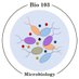 Microbial Metal Interactions (@microlab103) Twitter profile photo Microbial Metal Interactions (@microlab103) Twitter profile photo