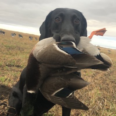 🦆 Hunter 🦌 Hunter Thoughts and views are mine and only mine!