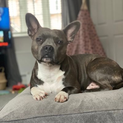 ___55_______'s profile picture. If you want the rainbow, you have to put up with the rain!